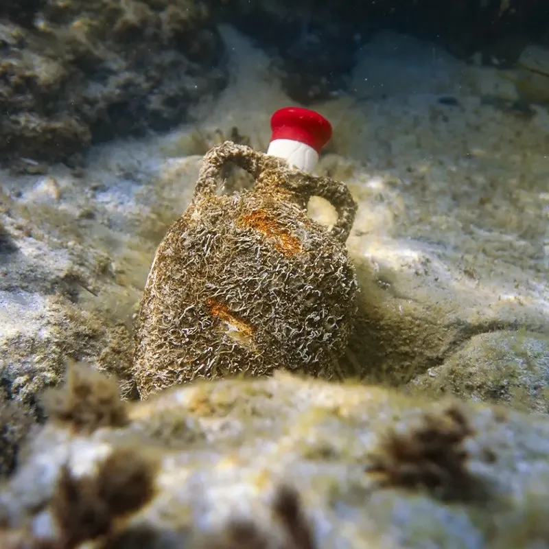 Img anforas anfora de mar