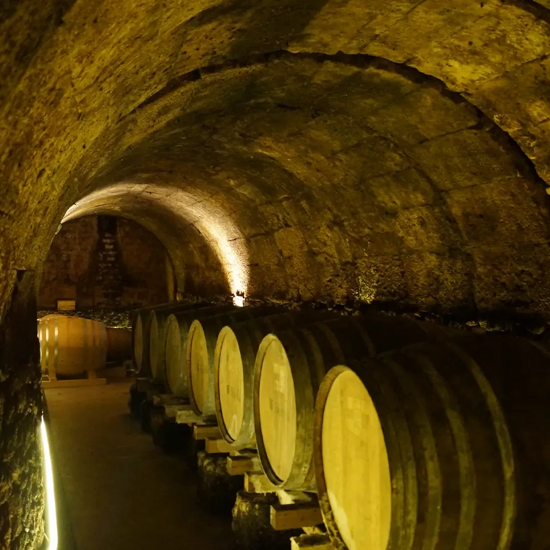 Img galeria La bodgea 5