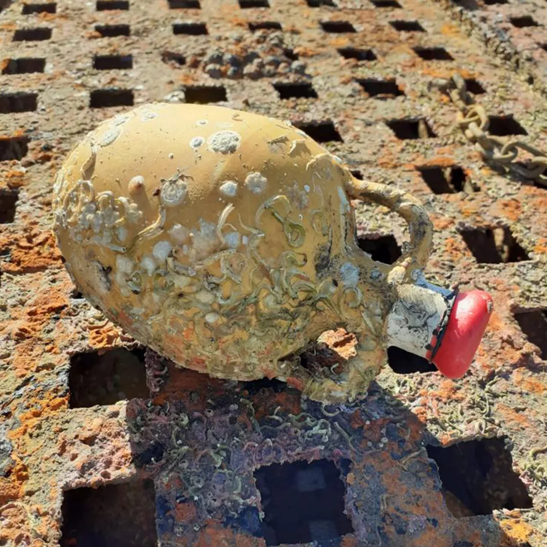 Img galeria anforas de mar 4