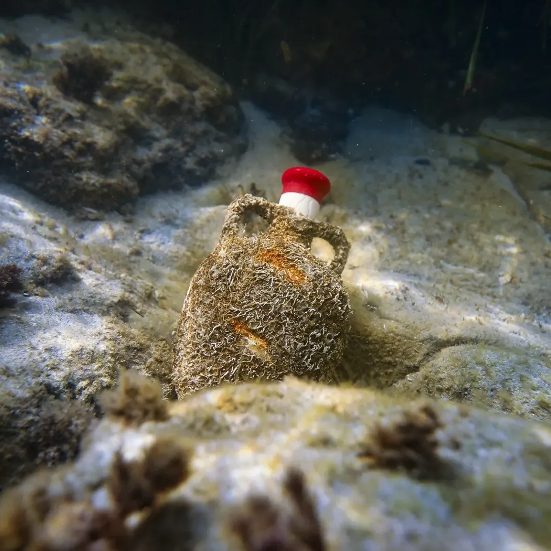 Img galeria anforas de mar 5