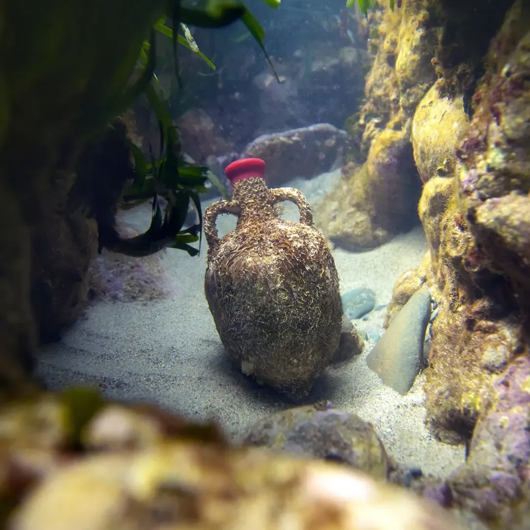 Img galeria anforas de mar 6