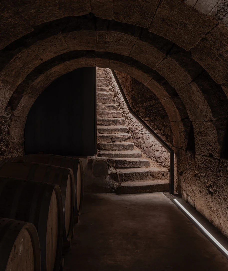 TRITIUM Y FRANCESQ (16)