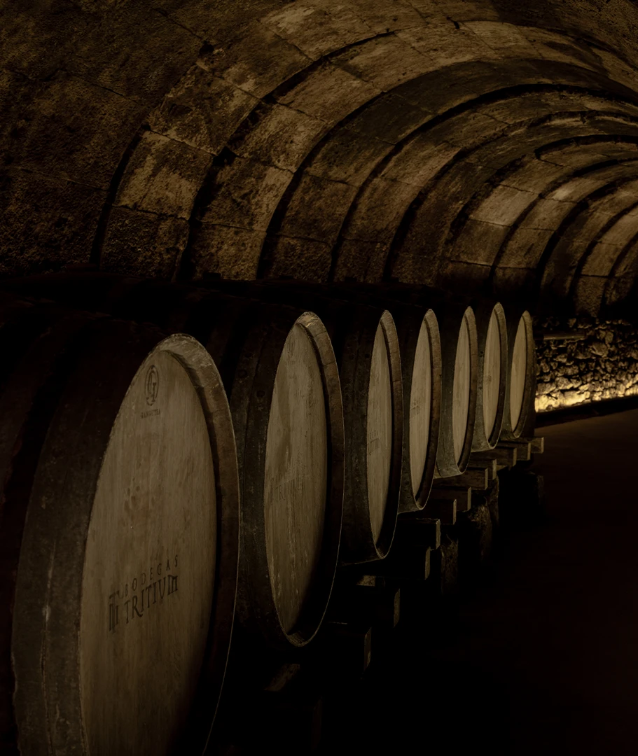 TRITIUM Y FRANCESQ (2)