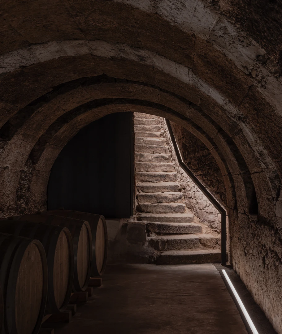 TRITIUM Y FRANCESQ (8)