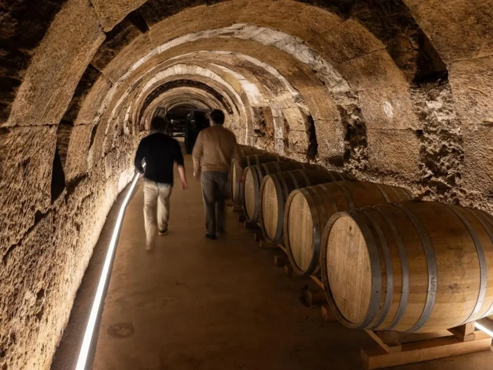 tritium expande su patrimonio